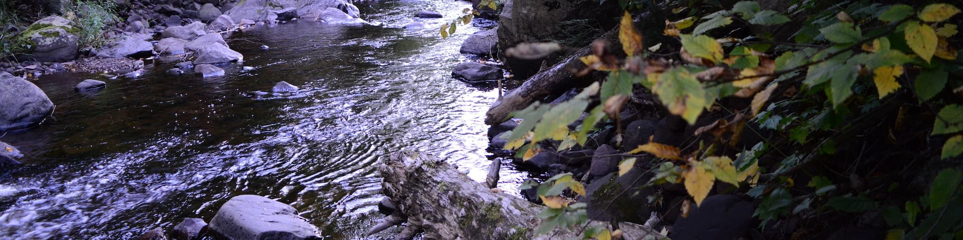 Backpacking, Wilderness, roadtrip, Hiking, Michigan, Porcupine Mountains, Rivers