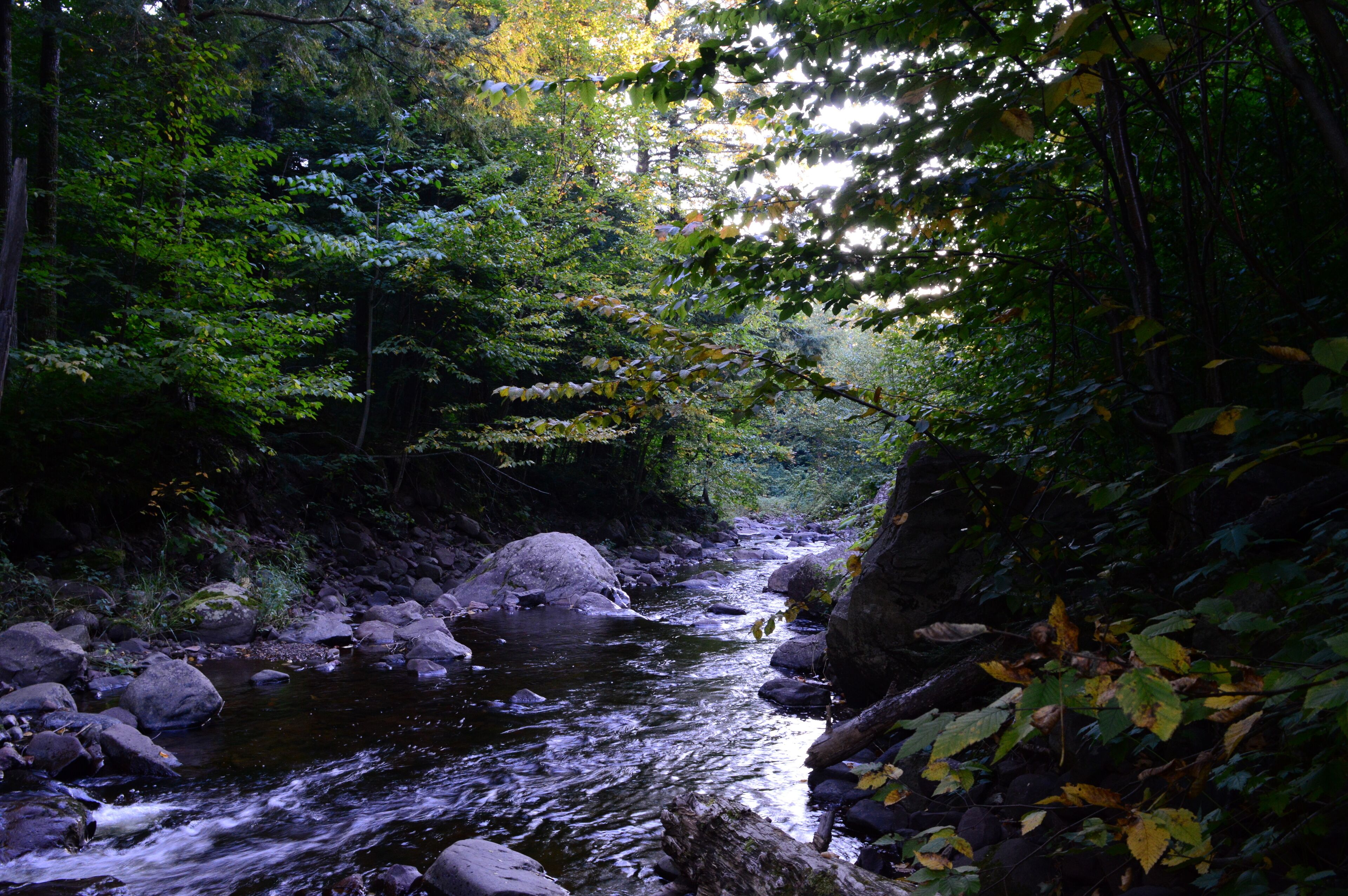 Backpacking, Wilderness, roadtrip, Hiking, Michigan, Porcupine Mountains, Rivers