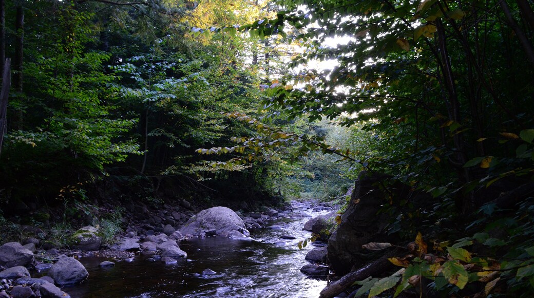 Backpacking, Wilderness, roadtrip, Hiking, Michigan, Porcupine Mountains, Rivers