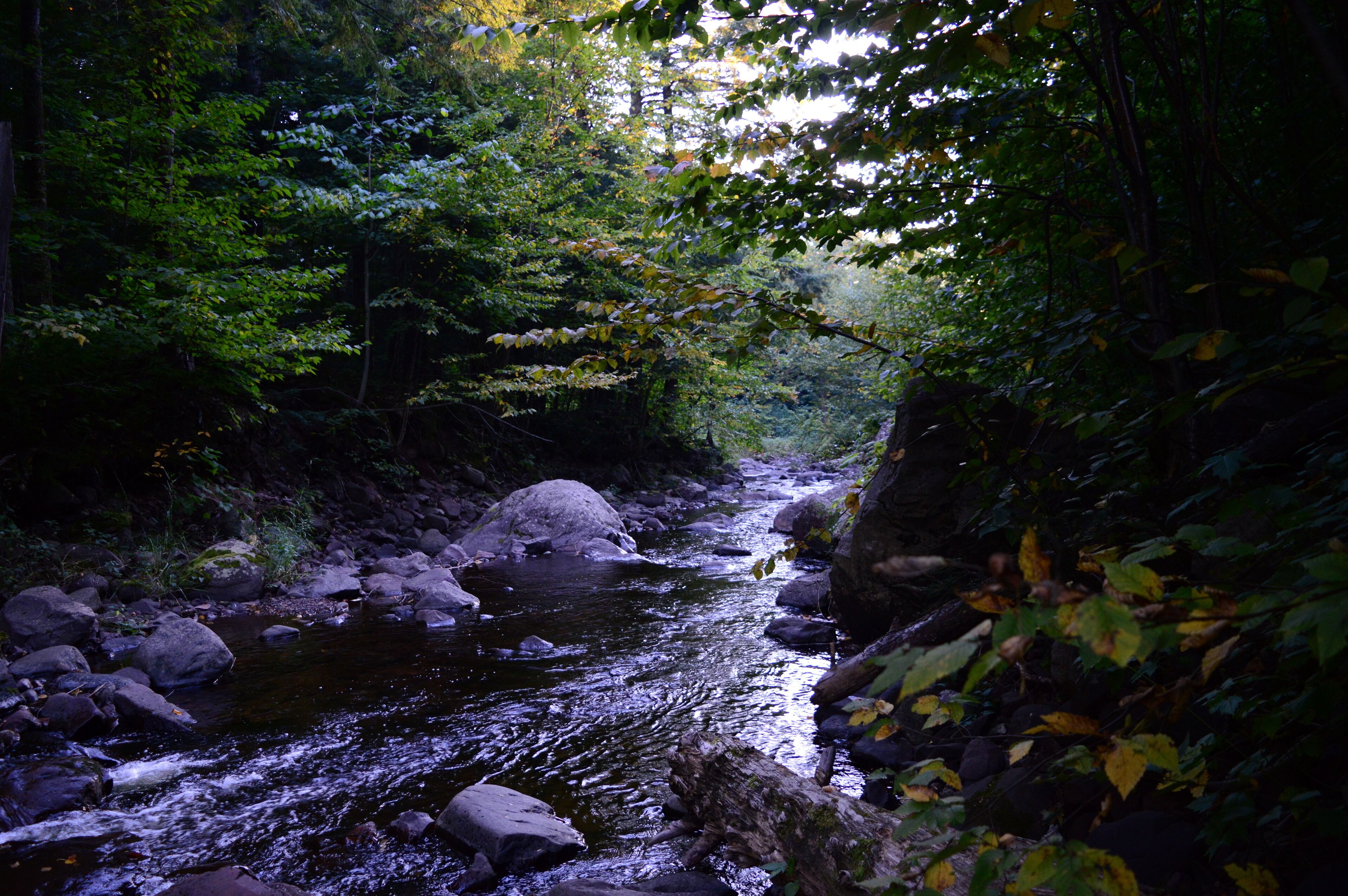 Backpacking, Wilderness, roadtrip, Hiking, Michigan, Porcupine Mountains, Rivers