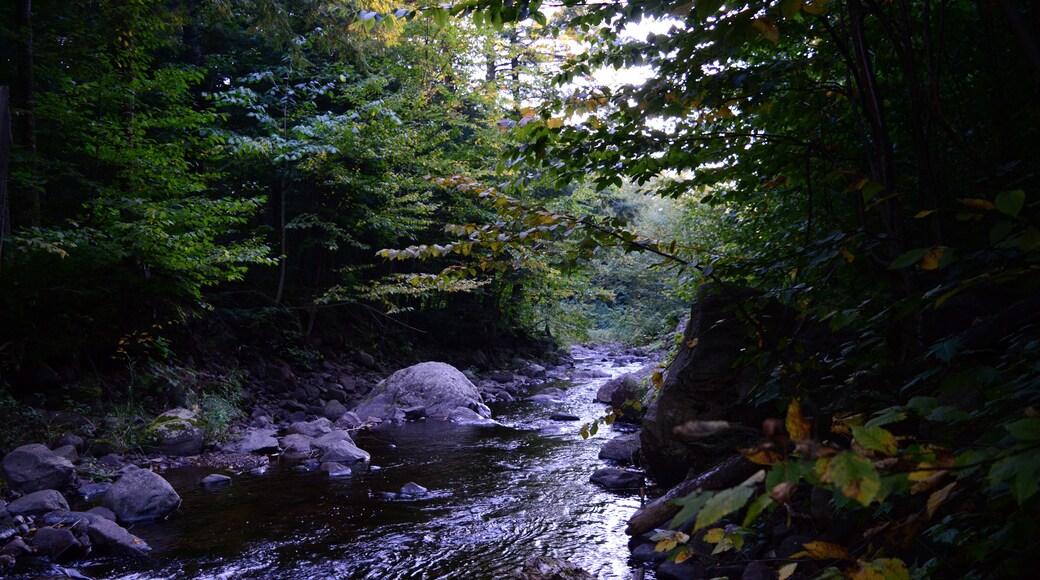 Backpacking, Wilderness, roadtrip, Hiking, Michigan, Porcupine Mountains, Rivers