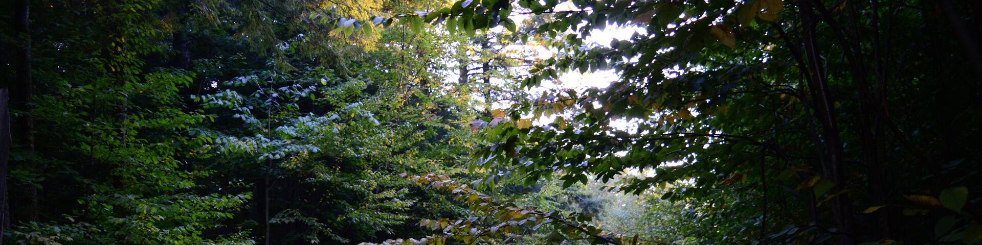 Backpacking, Wilderness, roadtrip, Hiking, Michigan, Porcupine Mountains, Rivers