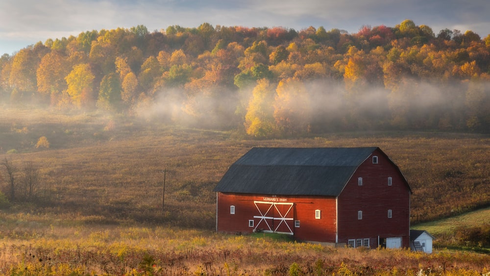 A rural barn in peak autumn in West Virginia