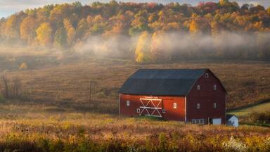 A rural barn in peak autumn in West Virginia