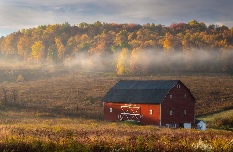 A rural barn in peak autumn in West Virginia