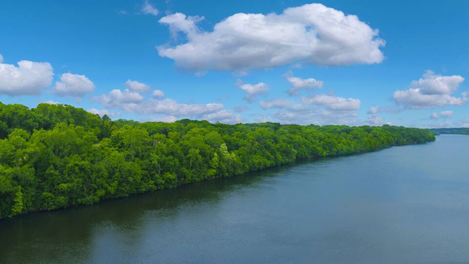 A river flanked by dense green forests under a clear blue sky with scattered clouds.