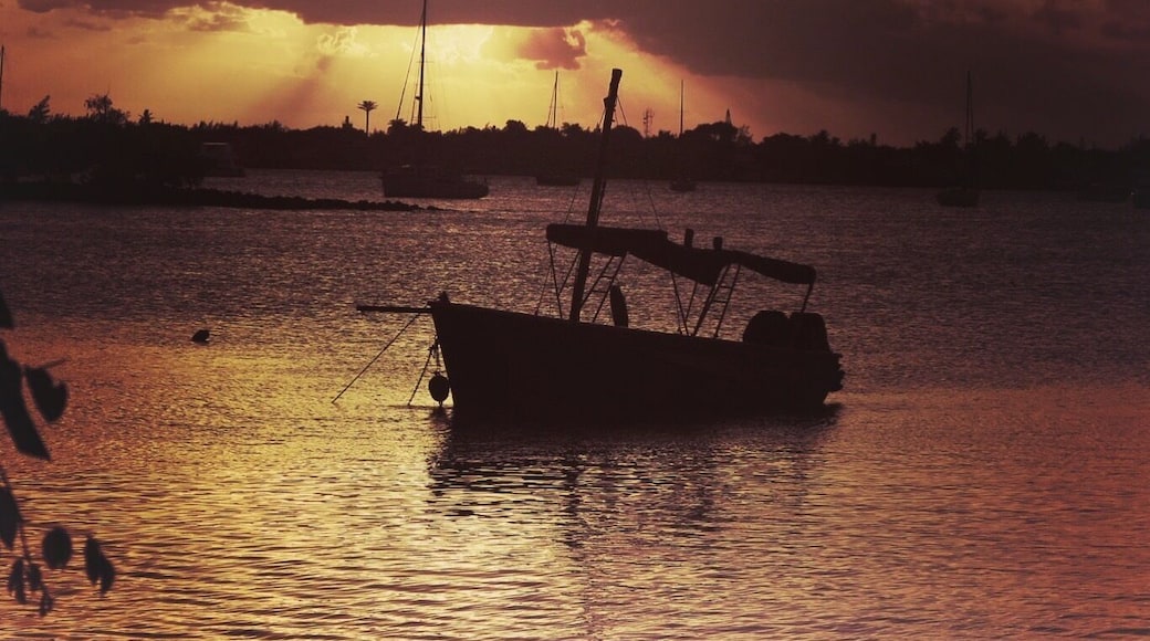 Last evening on the bay...