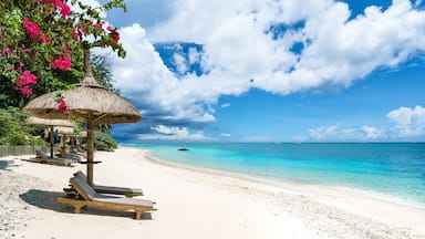 Uma praia com areia branca, águas turquesa cristalinas e um guarda-sol de palha.