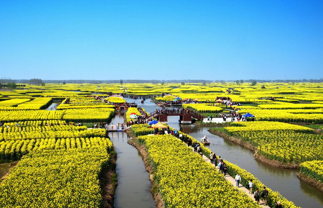 A river running through fields of yellow flowers, with people walking along the riverbanks and a bridge crossing the river.
