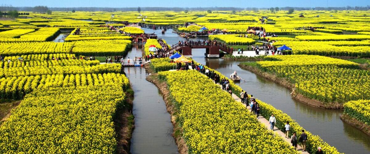 A river running through fields of yellow flowers, with people walking along the riverbanks and a bridge crossing the river.