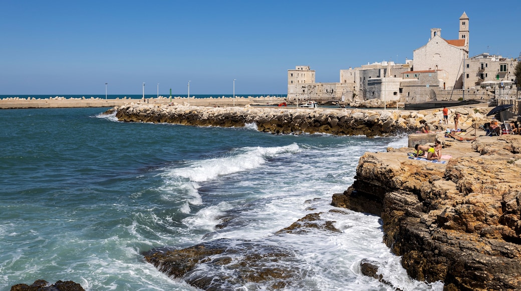 Giovinazzo