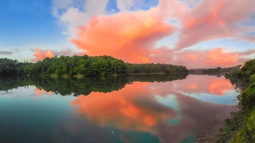 En rolig sø spejler pink og orange skyer, omgivet af tæt grøn skov.