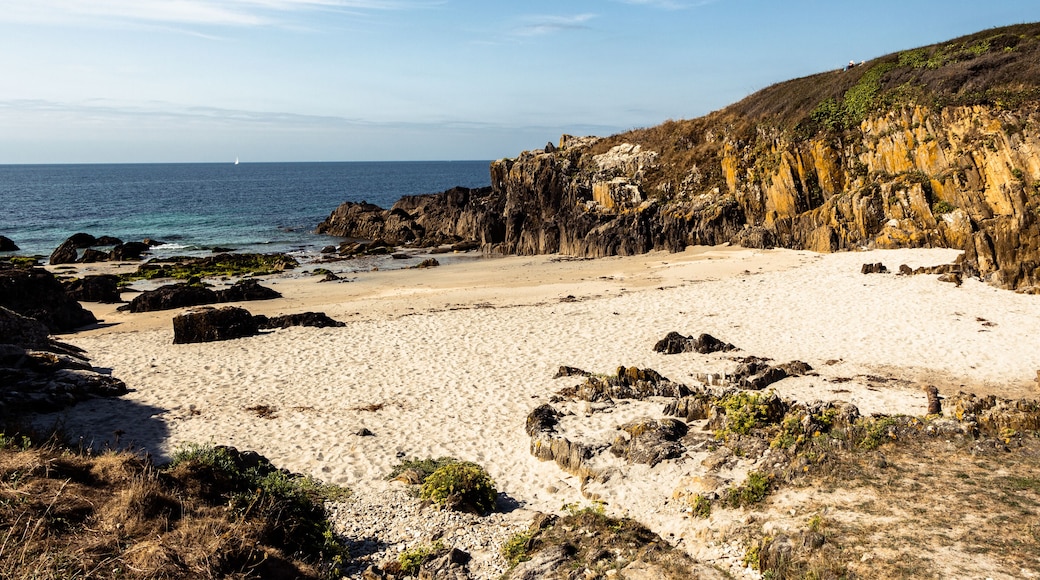 ๋ฌ๋ ์ฌ๋ฅด ๋ฉ๋ฅด