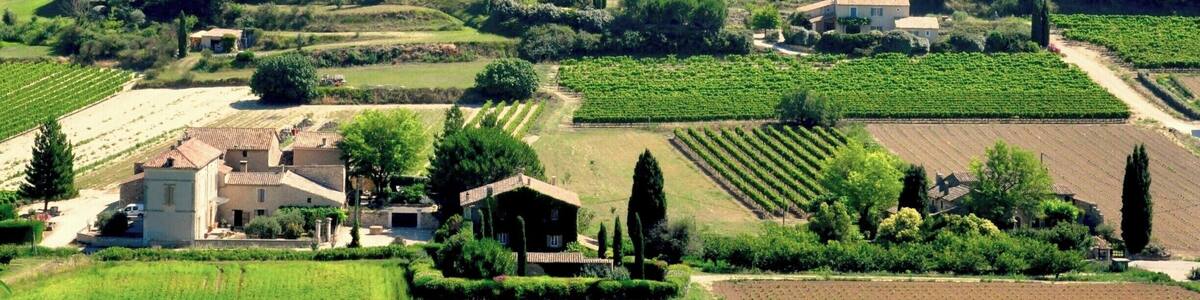 We visited Menerbes on market day, but could still find quiet spots to contemplate this lovely village and its views.