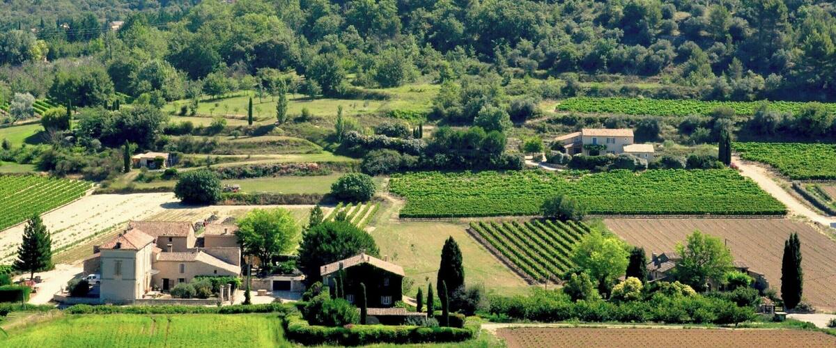 We visited Menerbes on market day, but could still find quiet spots to contemplate this lovely village and its views.