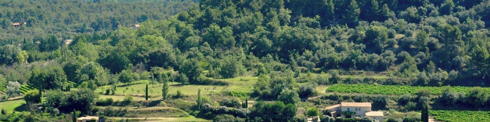 We visited Menerbes on market day, but could still find quiet spots to contemplate this lovely village and its views.
