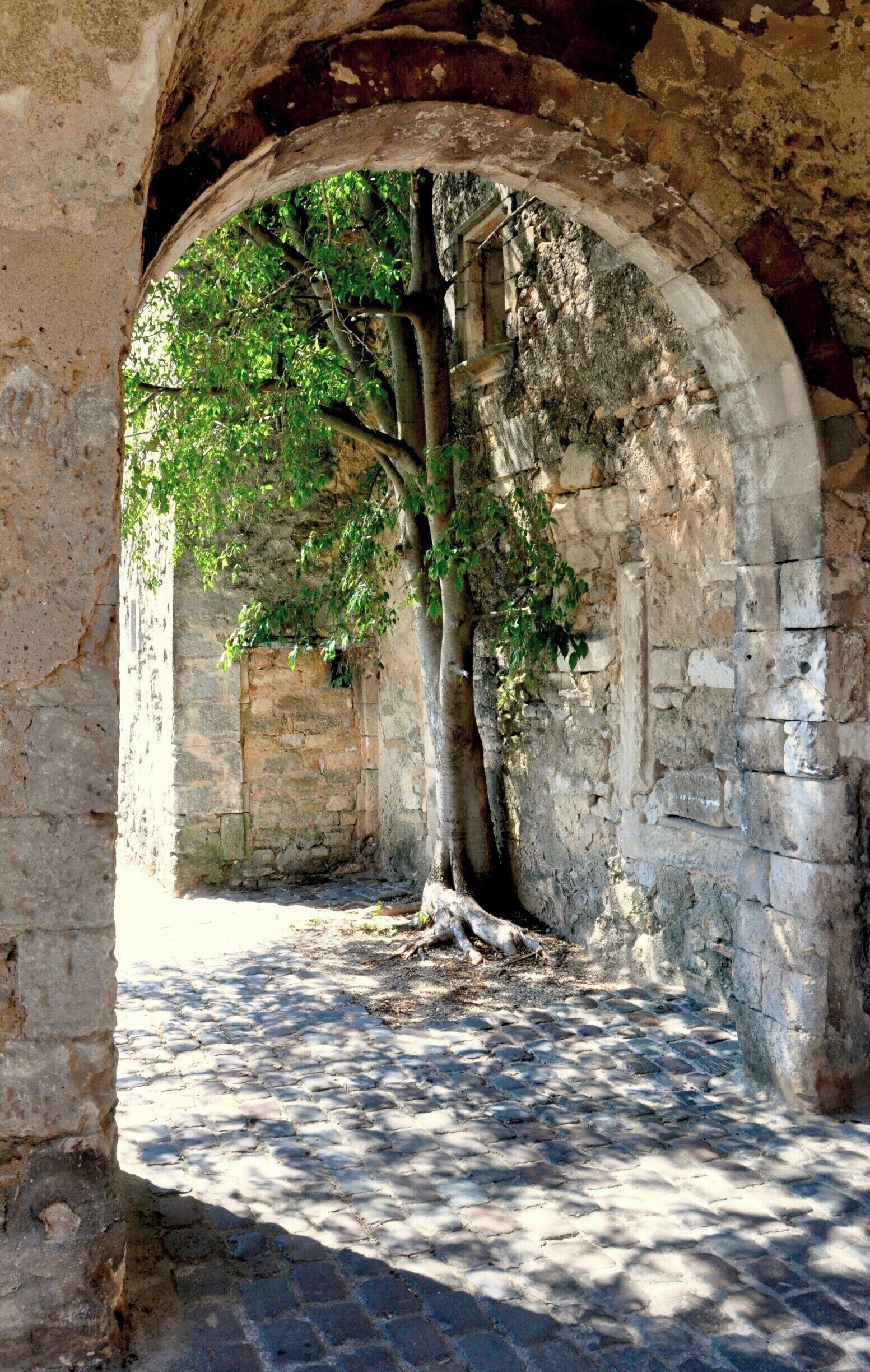 We visited Menerbes on market day, but could still find quiet spots to contemplate this lovely village and its views.