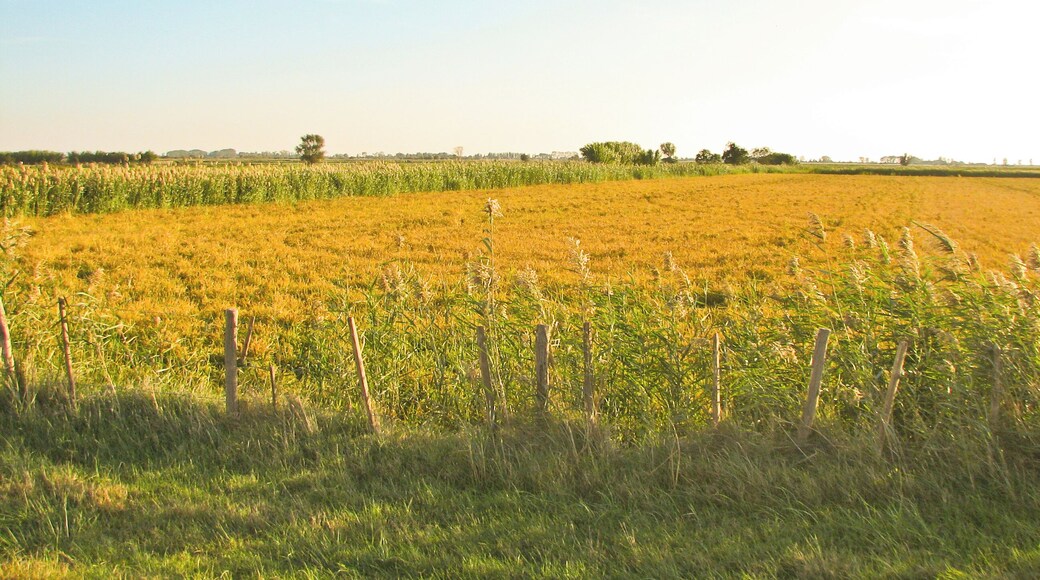 Camargue landscape east of Arles, France