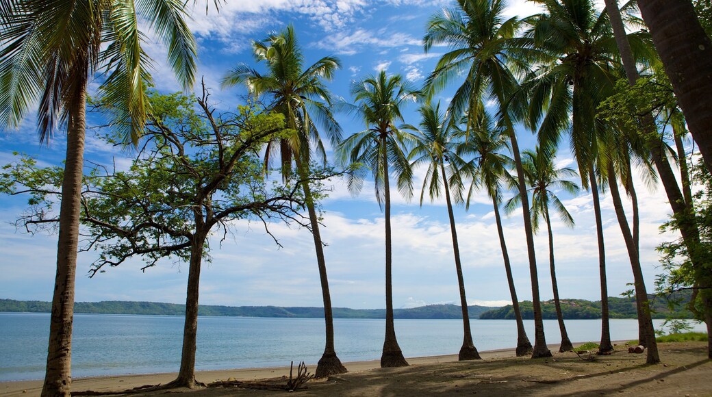 Praia do Panamá