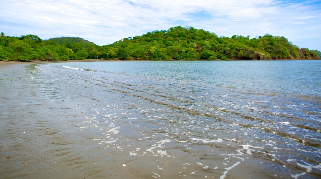 Playa Panamá mostrando una playa de arena