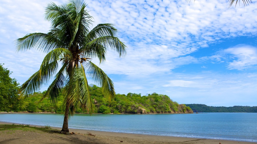 Playa Panamá mostrando uma praia de areia e cenas tropicais