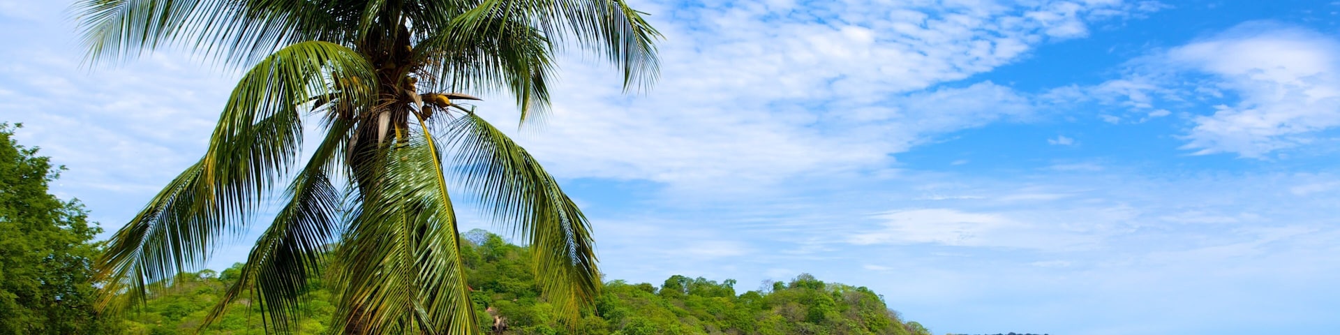 Panama Beach which includes a beach and tropical scenes