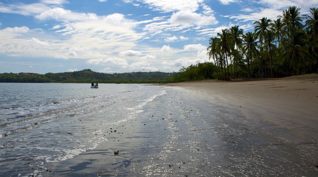 Panamá Beach featuring a sandy beach