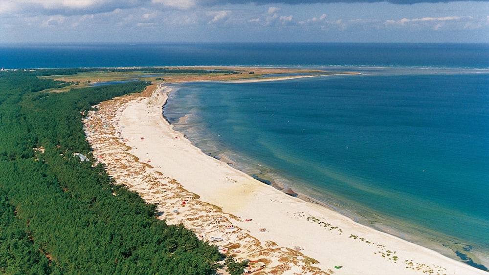Zingst welches beinhaltet Sandstrand und Landschaften