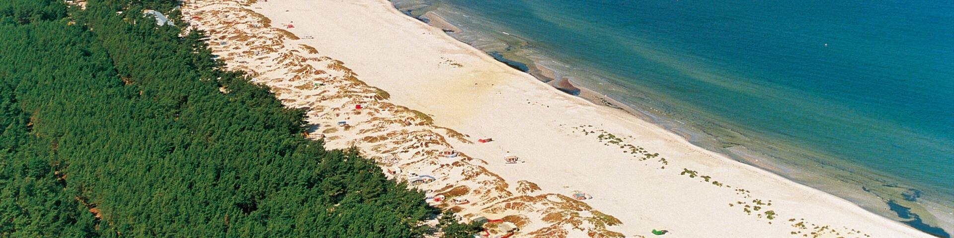 Zingst welches beinhaltet Sandstrand und Landschaften
