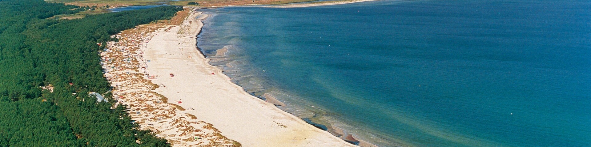 A coastal landscape with a sandy beach, dense forest, and a clear blue sea.