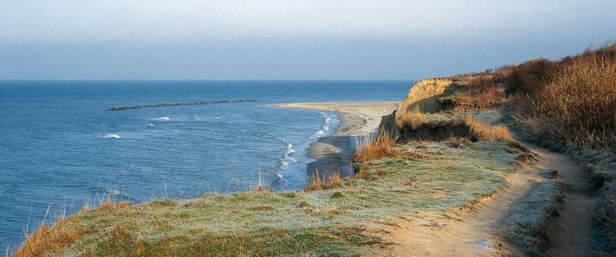 Zingst showing general coastal views and landscape views