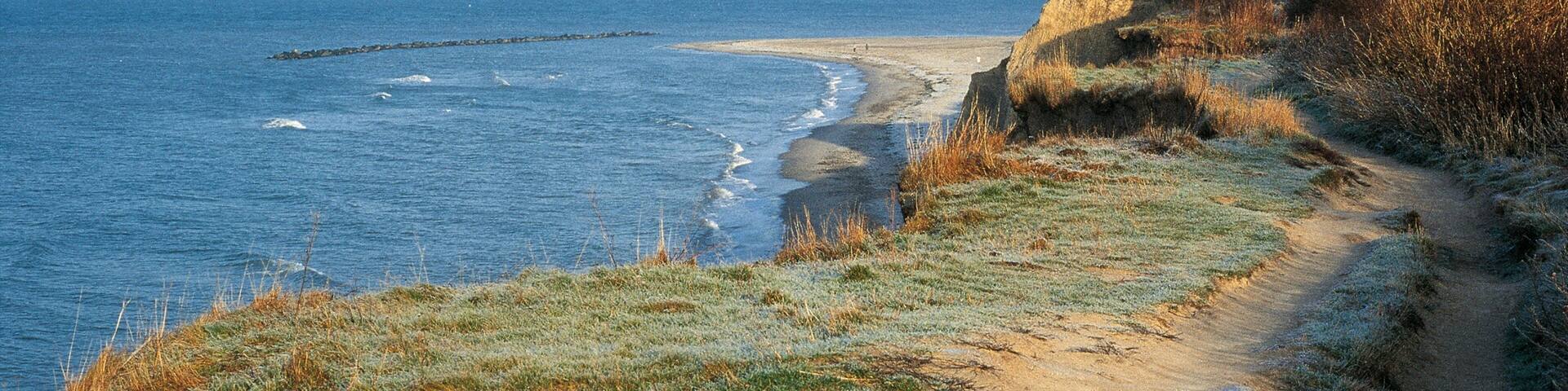 Zingst showing general coastal views and landscape views