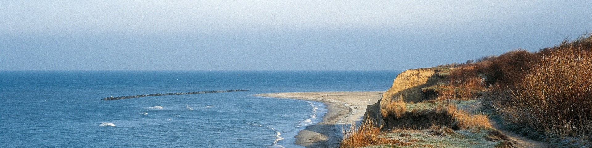 Zingst showing general coastal views and landscape views