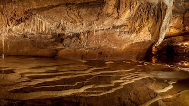 A cave with stalactites and a reflective water pool.