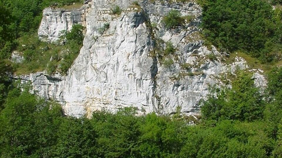 A large limestone cliff surrounded by dense green forest.