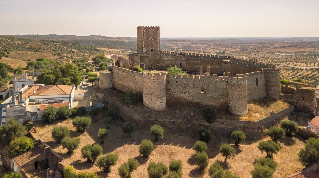 The castle was built in the Gothic style and has a heptagonal shape, the walls are reinforced with round towers at the corners.