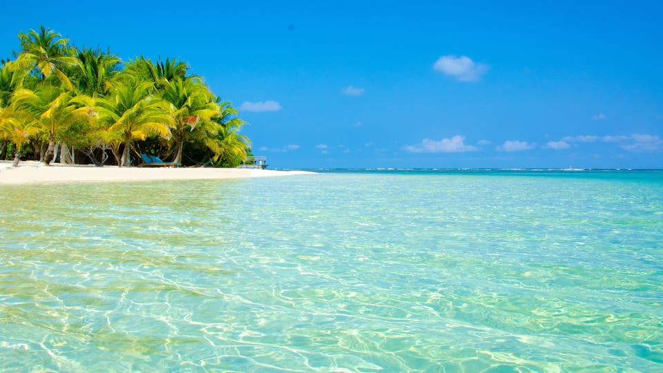 A beach with clear turquoise water, white sand, and palm trees.