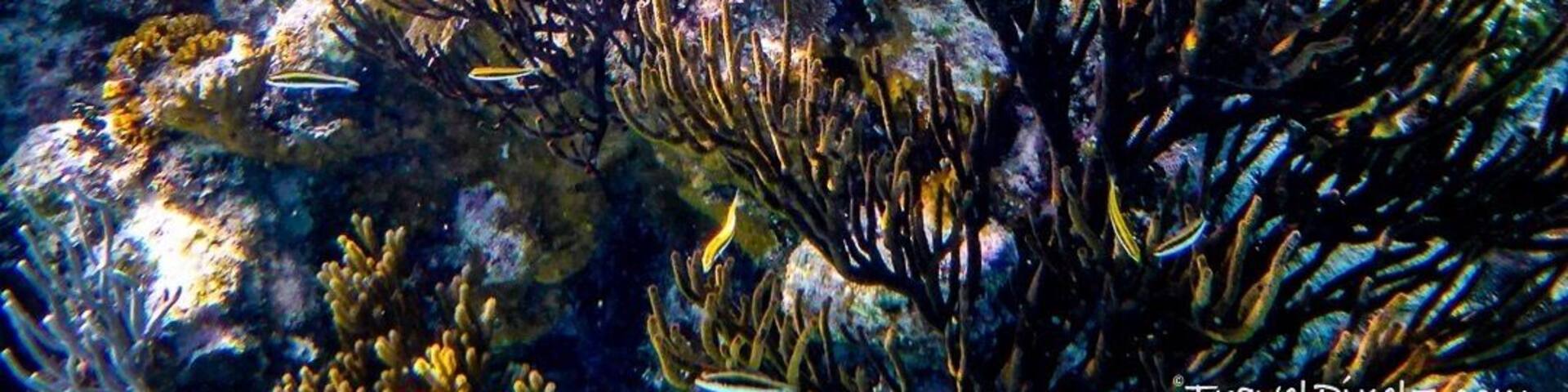 Wanna snorkel with nurse sharks and eagle rays? Or how about a lazy afternoon swinging in a hammock at a white sand beach? GloversReef / Belize got you covered. It offers the perfect opportunity for budget conscious travelers and backpackers to live that RobinsonCrusoe dream without breaking the bank. For more info check out www.travelpixelz.com.
#belize #gloversreef #diving #island #nature #centralamerica