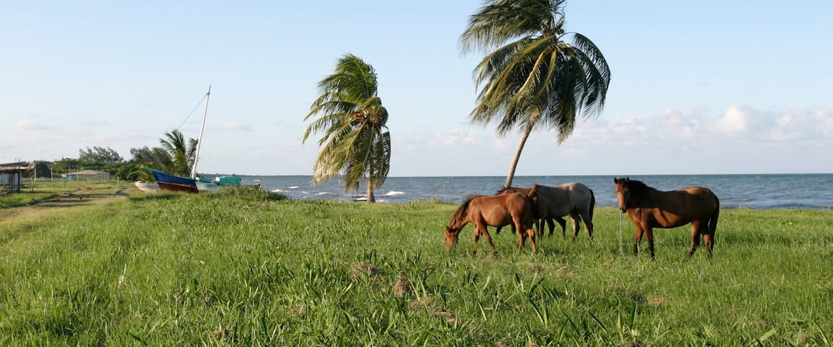 Dangriga Hotel Guide