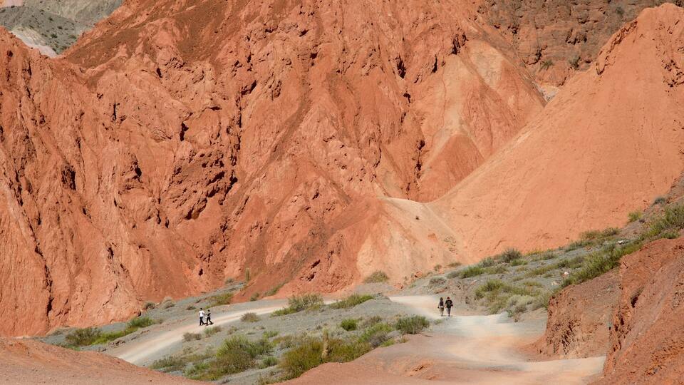 A rugged canyon with red rock formations and a narrow dirt road.