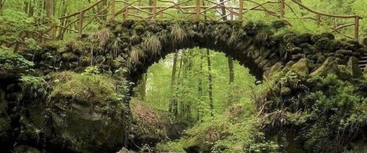 Route 2 of the Mullerthal trail (112 km, 3 tracks) passes through the heart of "Luxembourg's little Switzerland" and is probably the most beautiful hiking trail in the Grand Duchy. The route takes you to the "Schiessentümpel”, a little picturesque cascade and one of the most photographed sites in the country. #LocalSecrets #Trovember #Free