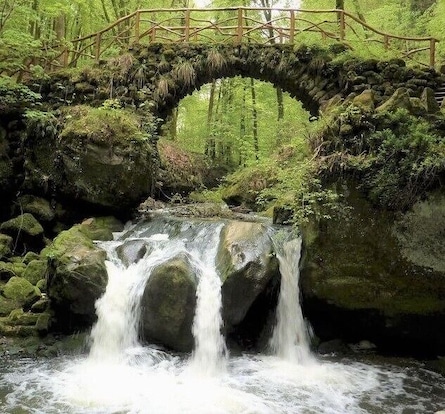 Route 2 of the Mullerthal trail (112 km, 3 tracks) passes through the heart of "Luxembourg's little Switzerland" and is probably the most beautiful hiking trail in the Grand Duchy. The route takes you to the "Schiessentümpel”, a little picturesque cascade and one of the most photographed sites in the country. #LocalSecrets #Trovember #Free