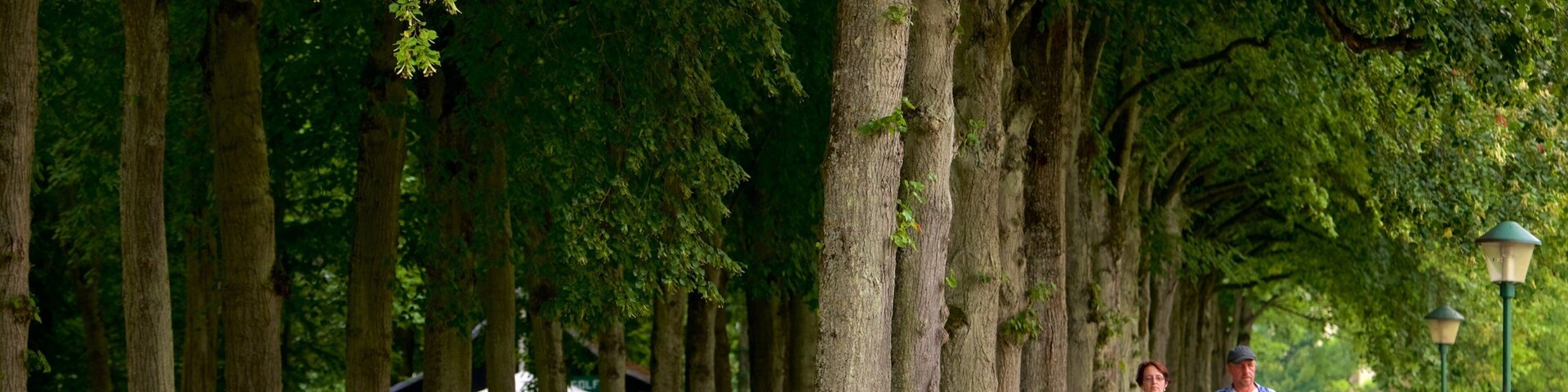 Uma trilha arborizada com bancos e pessoas caminhando.