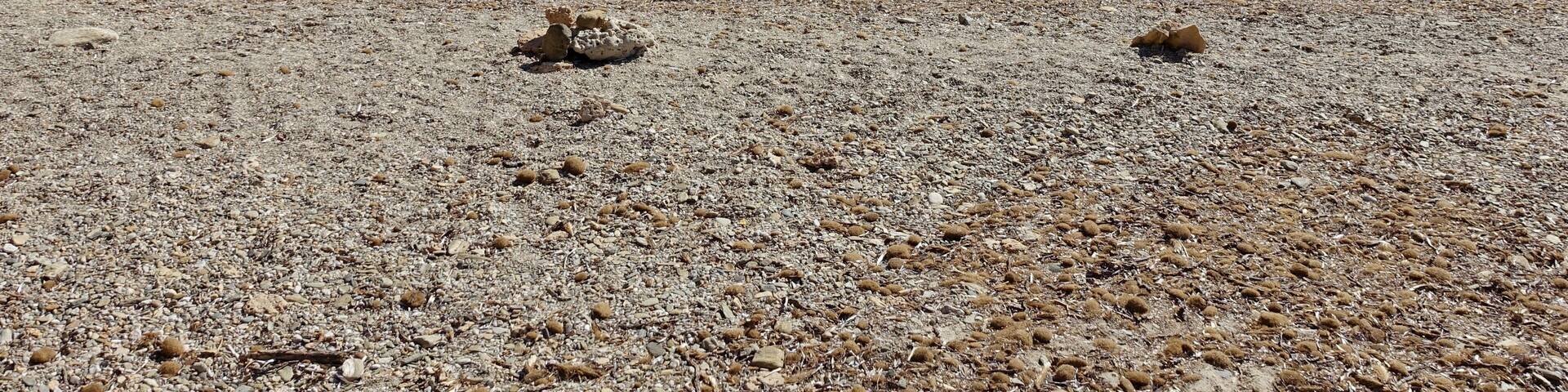 Bucht östlich der Insel Su Cardolinu (Isola Su Cardolinu), Gemeinde Domus de Maria, Sardinien, Italien