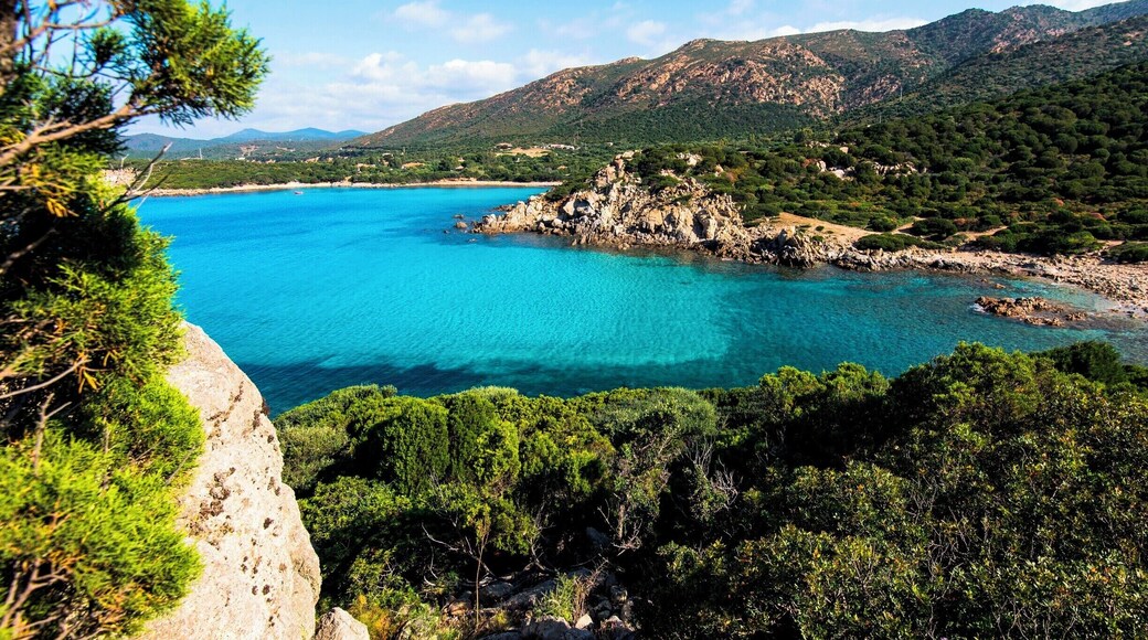 Tuaredda, Sardinia
Beautiful cove
#Blue #bvsblue