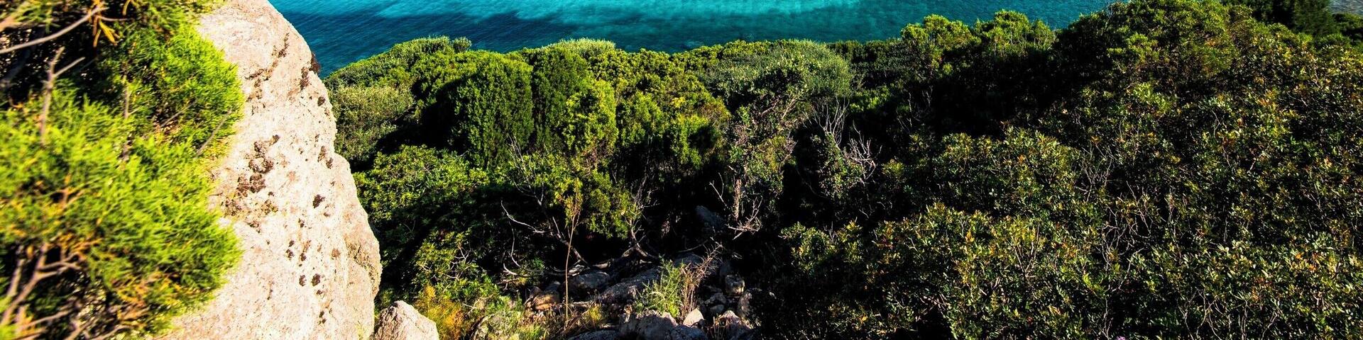 A coastal landscape with clear turquoise waters, rocky outcrops, and dense green vegetation.