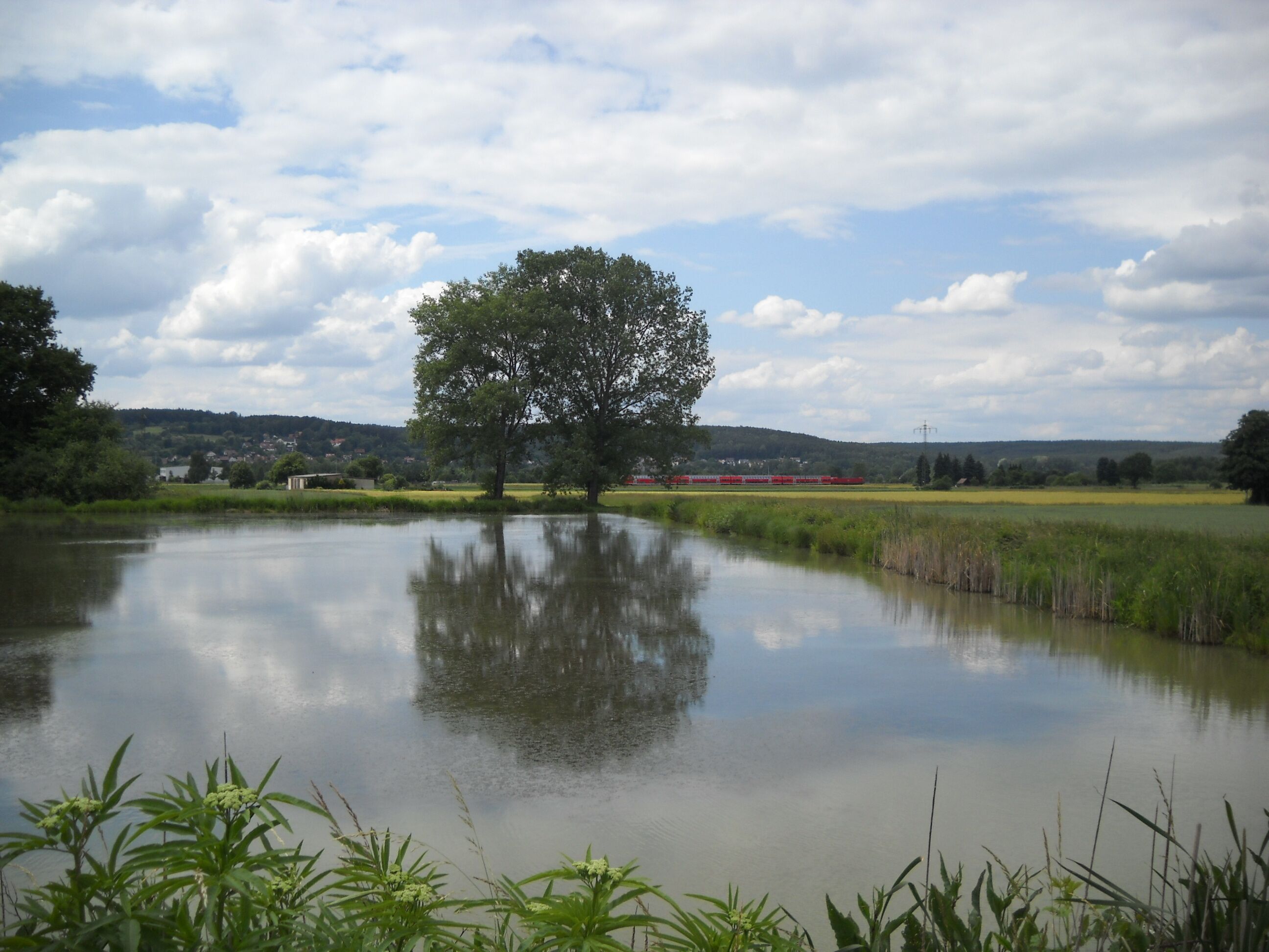 Forchheim, Am Örtelberg