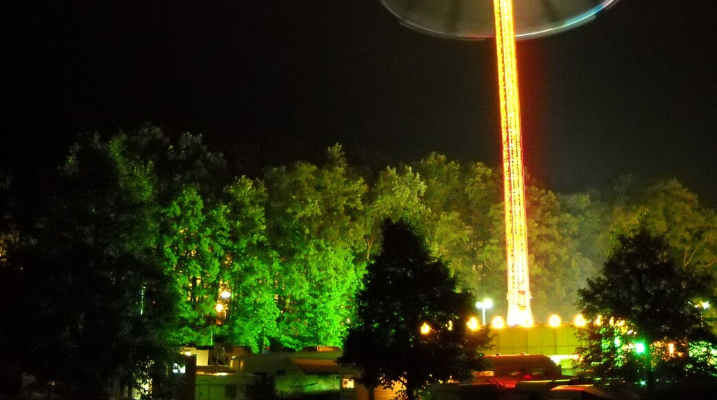 Forchheimer Annafest 2011, great carausel at night (ufo)