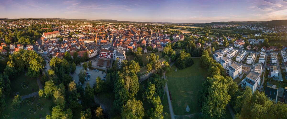 An aerial view of a town with historic buildings, a river, and surrounding greenery.