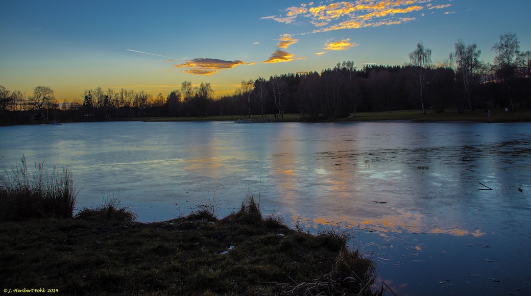 Feuchtbiotop am Parsberg